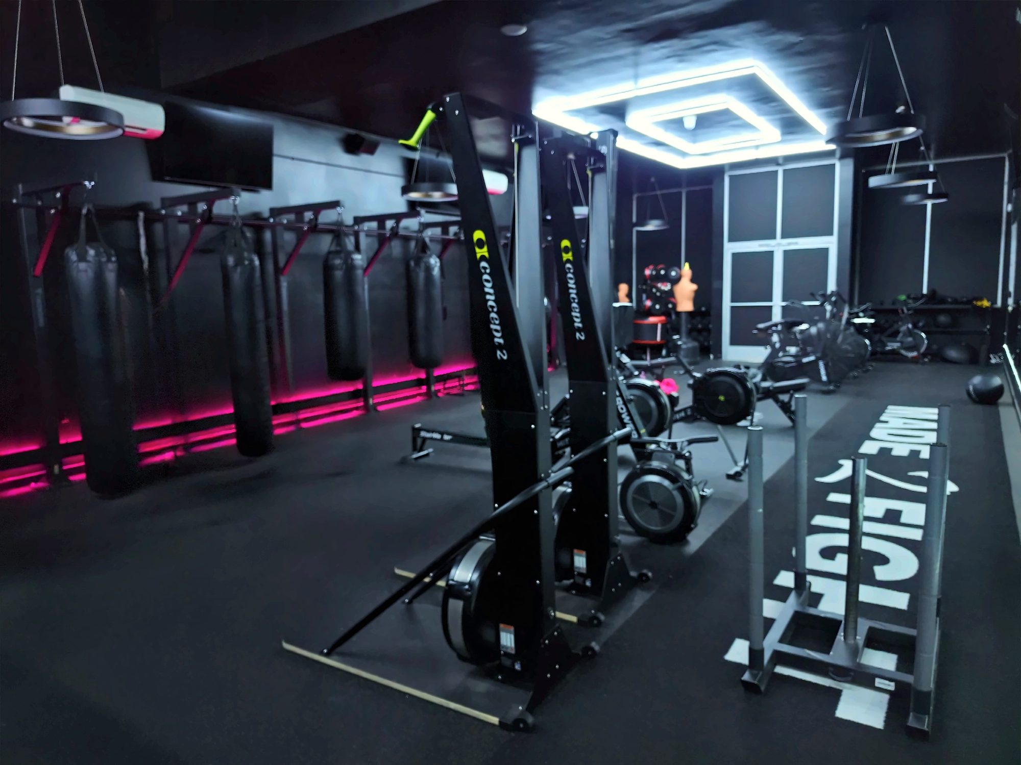 The conditioning room: heavy bags, ski ergs, rowers, and sleds